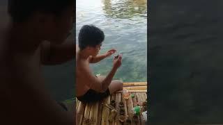 swaki ni swaki
