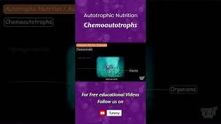 Chemoautotrophs | Autotrophs | Autotrophic Nutrition | Plants | Autotrophs | Science #shorts