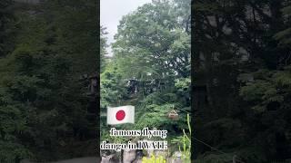 面白いお土産　FAMOUS FLYING DANGO in GEMBIKI GORGE IWATE KEN #iwate #青森屋 #japan #anakawaguchi