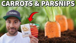 How To Grow CARROTS And PARSNIPS That NEVER Stop Producing!