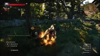 The Witcher 3 Успешная контратака