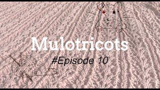 Mulotricots Episode #10