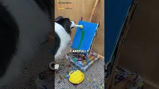 This dog is painter ️ #shorts