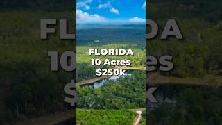 FLORIDA Land for Sale • 10 Acres with a Spring-Fed Pond • LANDIO