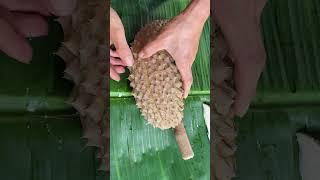 Amazing Durian Fruit Cutting #durian #ทุเรียน #fruit #shorts