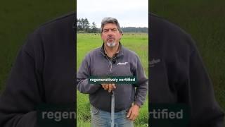 What is REGENERATIVE AGRICULTURE? Why is it BETTER? #regenerativeagriculture #soilhealth