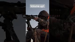 Doe Gets Smoked With Suppressed 6.5 Creedmoor #deerhunting #6.5creedmoor #rifles #guns #suppressed