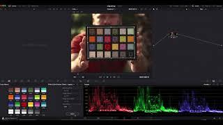 2 Mins How-to: DaVinchi Resolve and Andoer Professional 24 Color checker