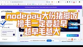 nodepay发大份猪脚饭了，撸毛一定要趁早，越早毛越大！