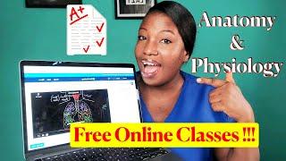 Take This Free Online Anatomy and Physiology Class to Master the Course