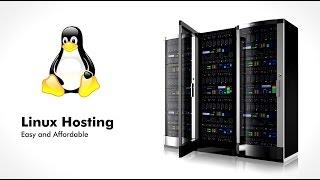 Best Linux Windows Web Hosting  Company India | Sathyainfo