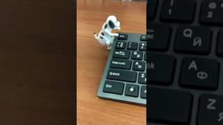 Hamping dog Собака, которая треплет USB