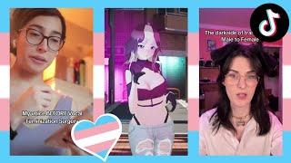 Trans TikToks Compilation #38