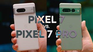 Google Pixel 7 vs. Pixel 7 Pro: Which should you buy?