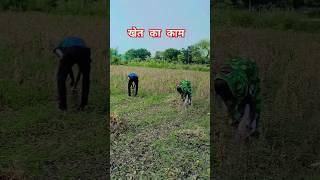 @smartram2  को 1k करवा दो ️ #reels #youtubeshort #firstvideo #reelsindia #firstvideoonyoutube