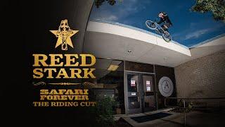 Reed Stark 'SAFARI FOREVER' Riding Cut - BSD