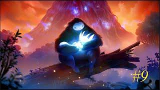 Ori and the Blind Forest  Walkthrough Part 9: Exploring Black Root Burrows