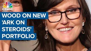 Cathie Wood on testing new 'Ark on steroids' portfolio, Tesla