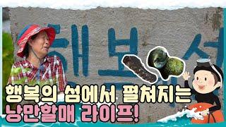 [섬마을 할매 시즌1]  초도편 l 낭만 할매와 '초도'에서 행복한 하루!