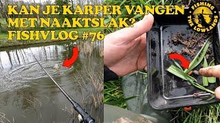 FishVlog #76 Kan je karper vangen met naaktslak?