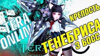 Крепость Тенебриса Нормал! Третий босс! Гайд TERA Online!