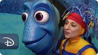 Meet the Puppeteers at 'Finding Nemo - The Musical' | Walt Disney World