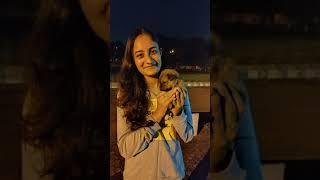 Cute puppies | Helping street dogs | Playing with puppies |KHUSHI DUBAL