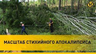 "ДЕРЕВЬЯ РАЗОРВАЛО НА ЧАСТИ". Гомельщина ПОСЛЕ СМЕРТЕЛЬНОГО УРАГАНА. Съемки МЧС с вертолета