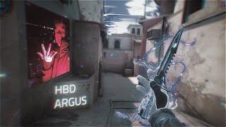 HBD ARGUS(cs:go edit)