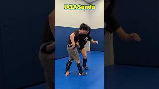 Scissor takedown  #wushu #sanda