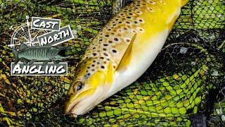 The best river conditions to catch Trout? Great session!