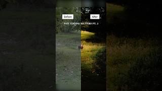 Why Editing Matters PT. 2 #photography #editing