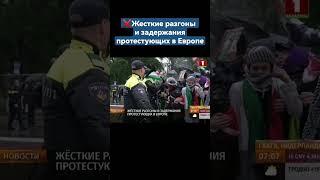 ️Пропалестинские акции в Европе закончились волной жестких разгонов и задержаний #митинг #протест