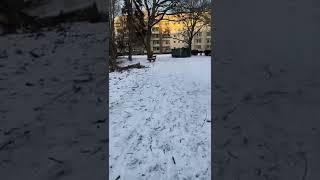 Snow in Berlin january 2022