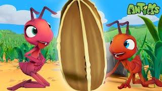 Ant Farm |  Antiks & Insectibles  | Funny Cartoons for Kids | Moonbug