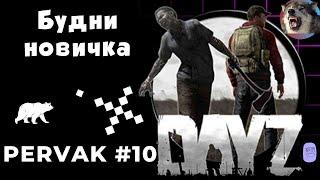 Новичок выживает в DayZ | PERVAK PVE #10 |