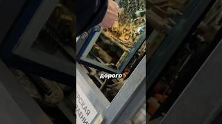 200 рублей за ключ дорого? | Интервью с партнером в Екатеринбурге