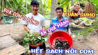 cùng Anh Em TUẤN SUMO ra đồng săn bắt và nấu bửa cơm 0đ đậm chất dân dã miền tây | SƠN MIỀN TÂY 83