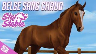 ACHAT DU CHEVAL BELGE SANG CHAUD | Star Stable - SSO