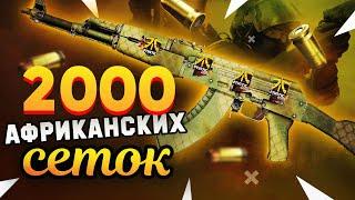 Купил 2000 AK-47 | Африканская Сетка в КС:ГО и Нашел РЕДКИЕ Наклейки Фаната Fnatic