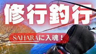 【釣り方解説あり】真冬のアメマス修行釣行でSAHARA 4000XGに入魂してみた！お値段以上、シマノ