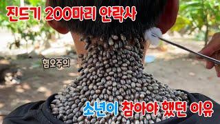 진드기 200마리 안락사 영상 | 소년이 참아야만 했던 이유