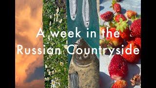 A week in the Russian Countryside