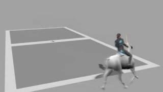 Horse Motion Capture - turns