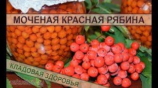 Мочёная рябина - простой и полезный рецепт оригинальной заготовки