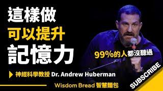 如何提升記憶力？這方法99%的人都沒聽說過... ► 聽聽神經科學教授怎麼說 - Dr. Andrew Huberman 安德魯．休伯曼博士（中英字幕）