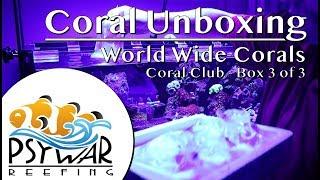 World Wide Corals - Coral Club - Unboxing - 3 out of 3