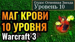 Самый РЕДКИЙ герой в Warcraft 3 Reforged: Маг Крови 10 уровня