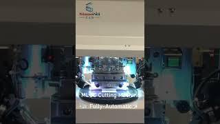 Capacitor mlcc automatic cutting machine #automatic #machine#mlcc