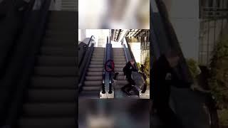 Daily Videos 154